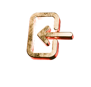 Login icon